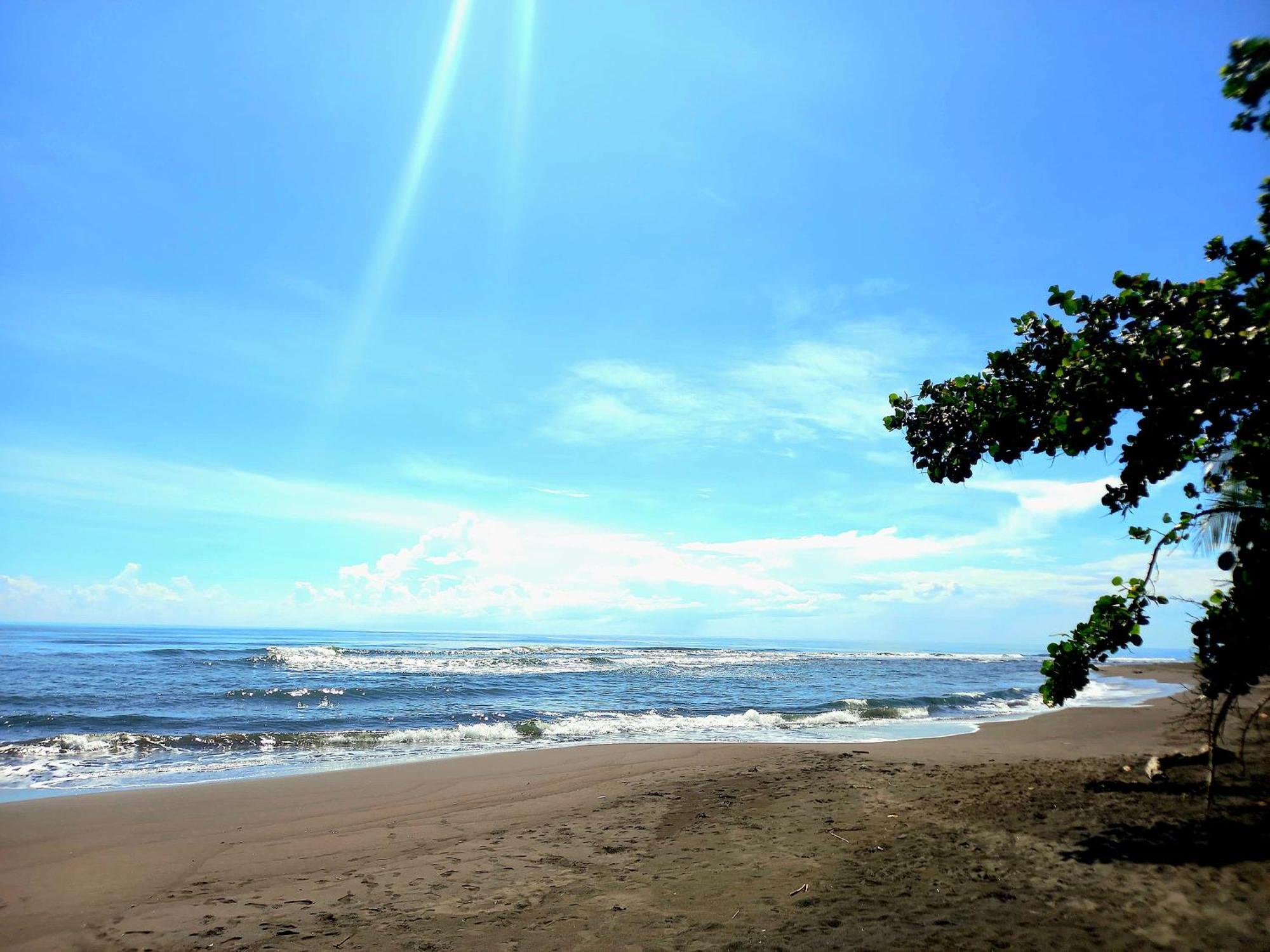 Tortuguero Adventures Beach House 外观 照片