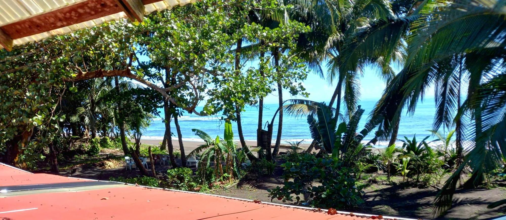 Tortuguero Adventures Beach House 外观 照片