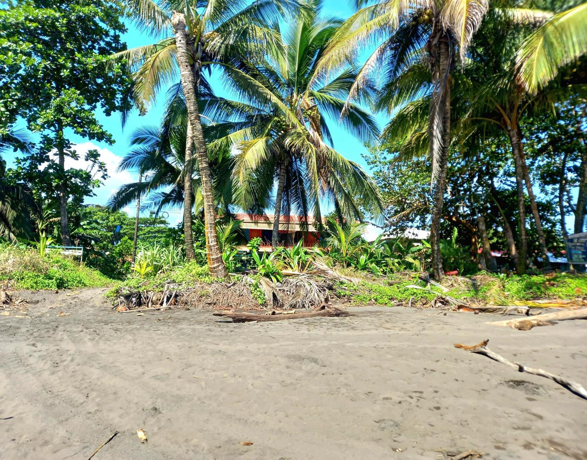Tortuguero Adventures Beach House 外观 照片