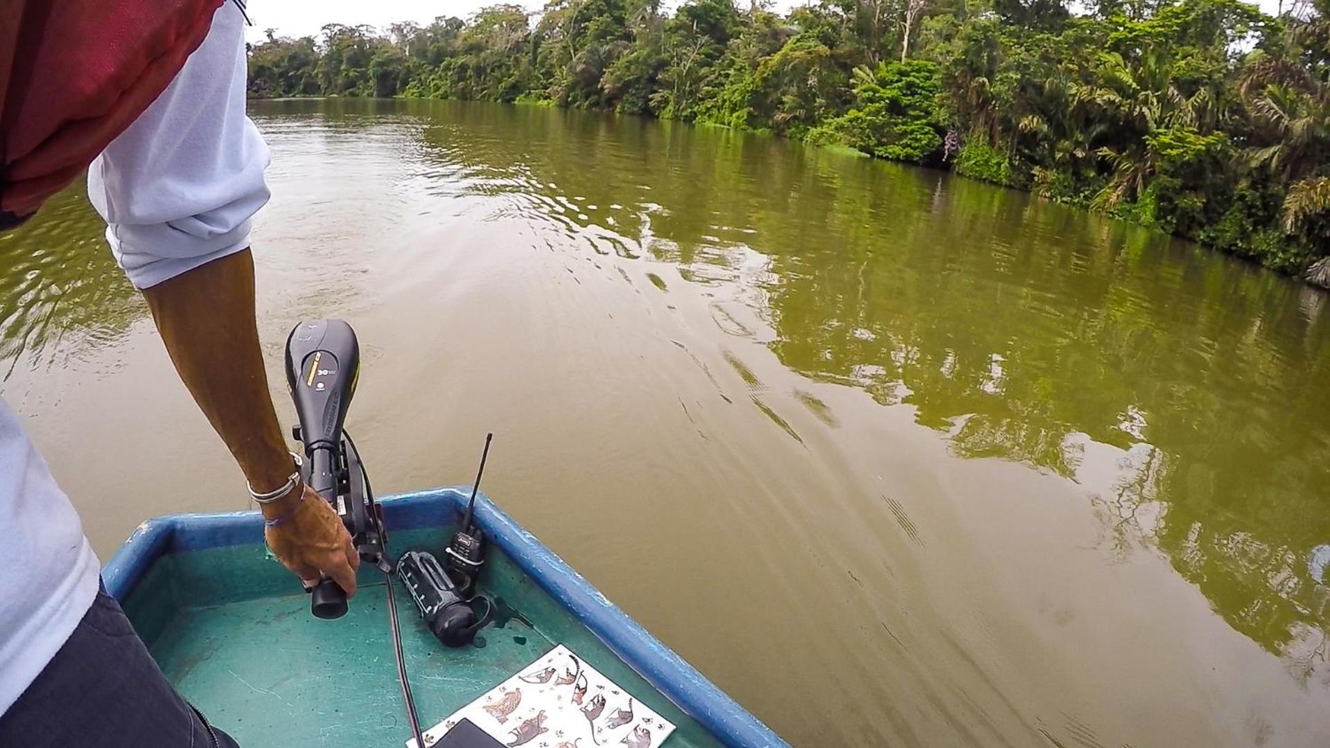 Tortuguero Adventures Beach House 外观 照片
