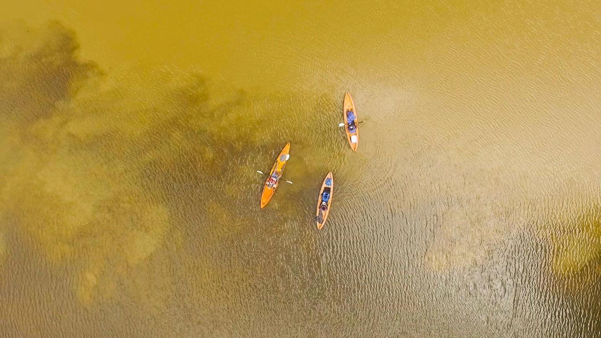 Tortuguero Adventures Beach House 外观 照片