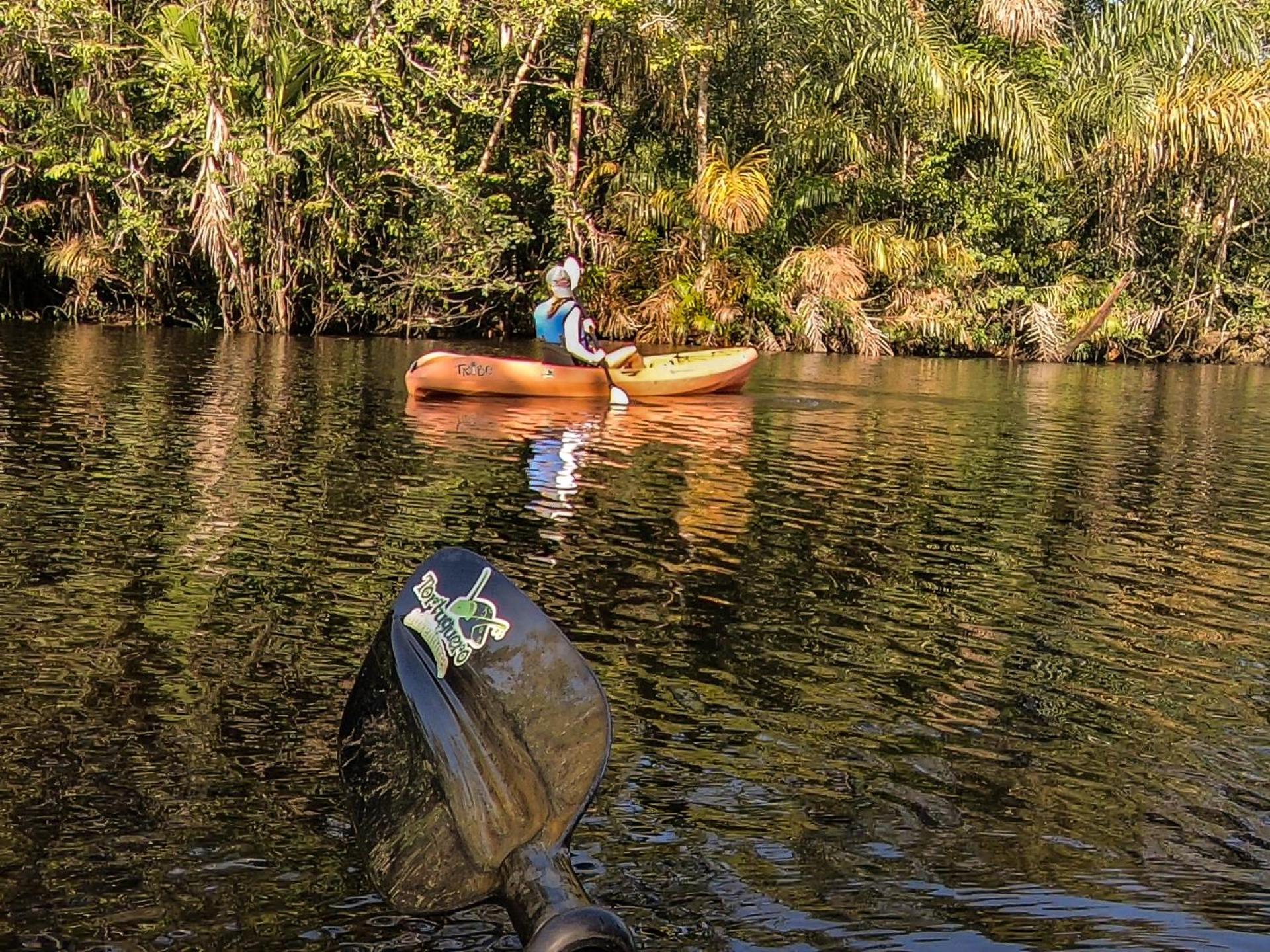 Tortuguero Adventures Beach House 外观 照片