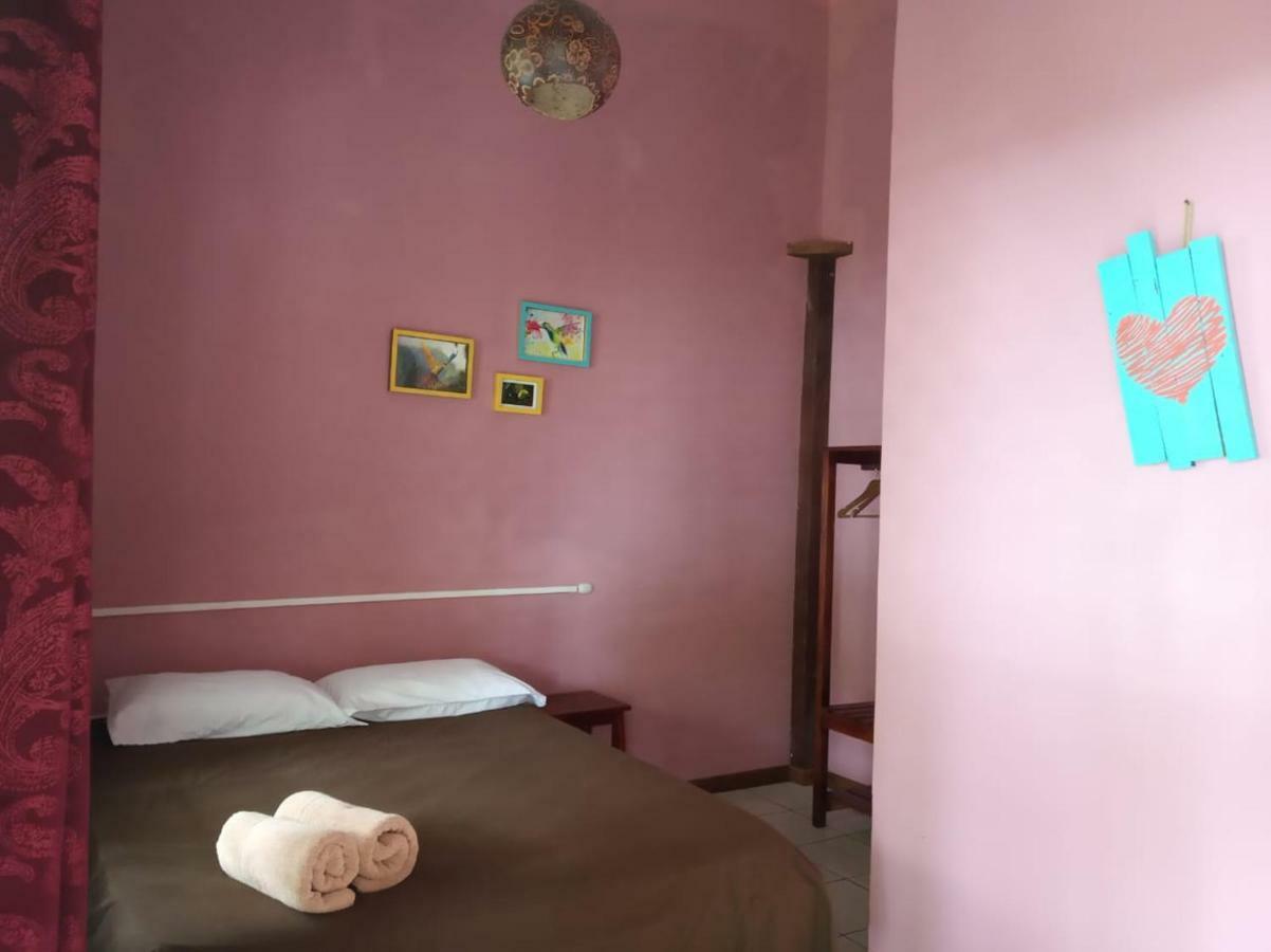 Tortuguero Adventures Beach House 外观 照片