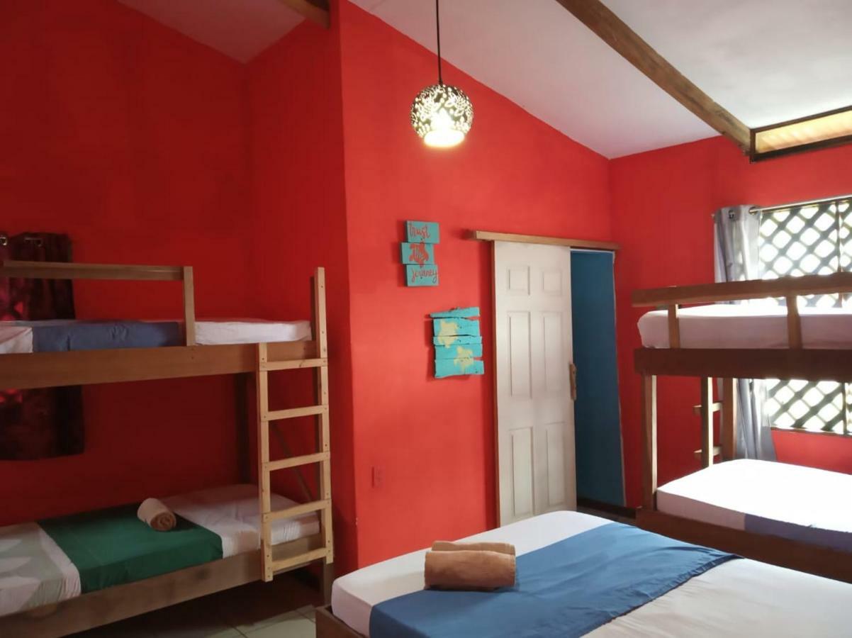 Tortuguero Adventures Beach House 外观 照片