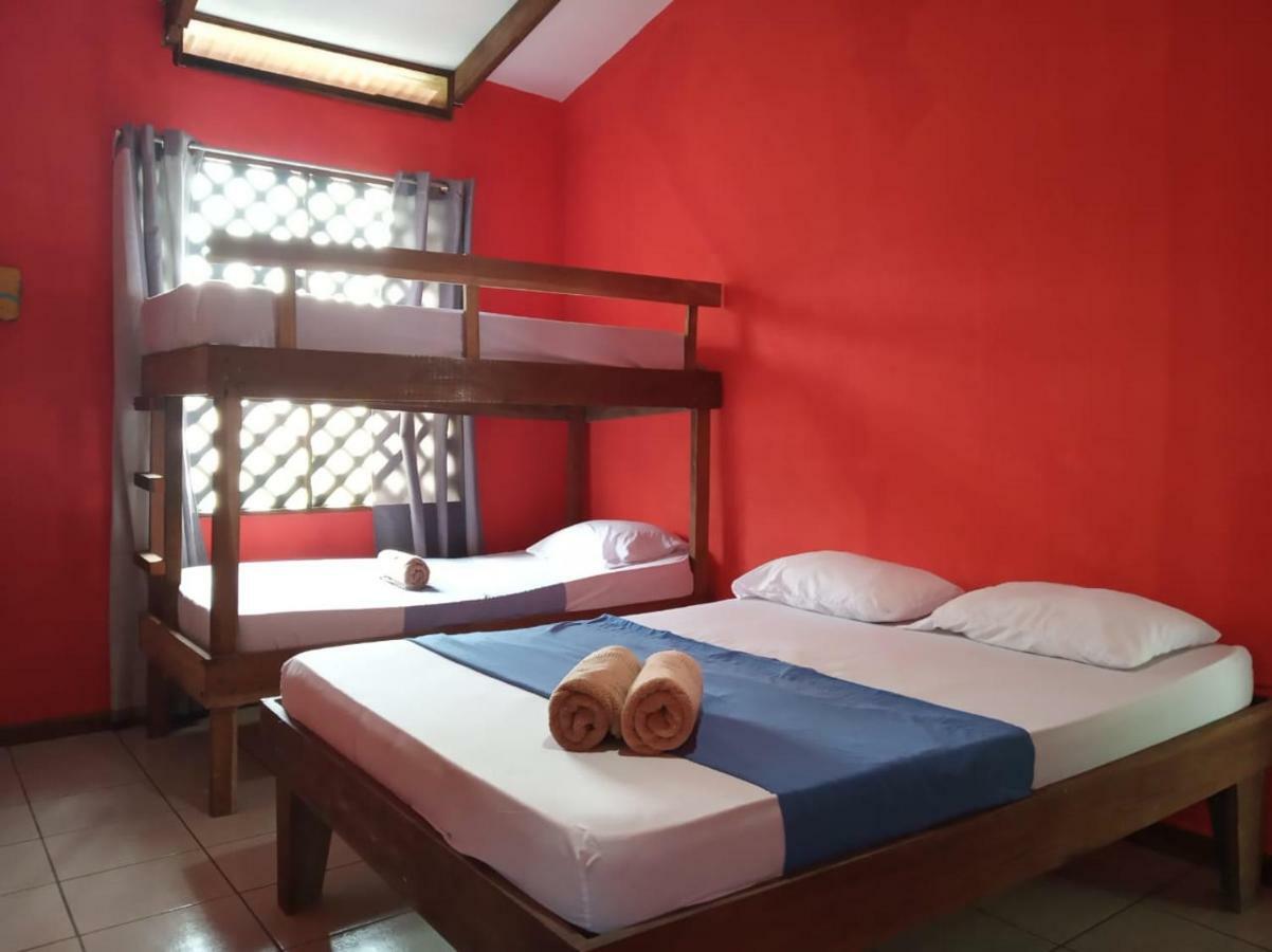 Tortuguero Adventures Beach House 外观 照片