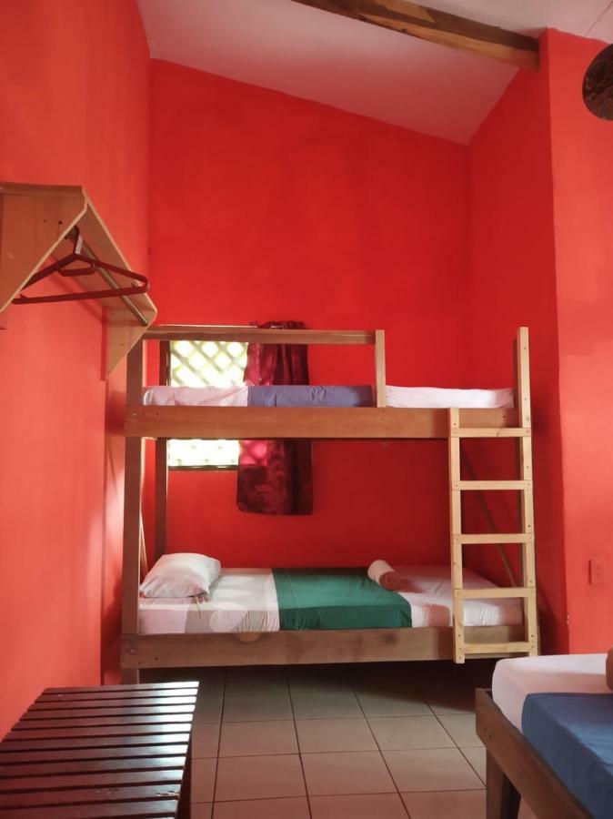 Tortuguero Adventures Beach House 外观 照片