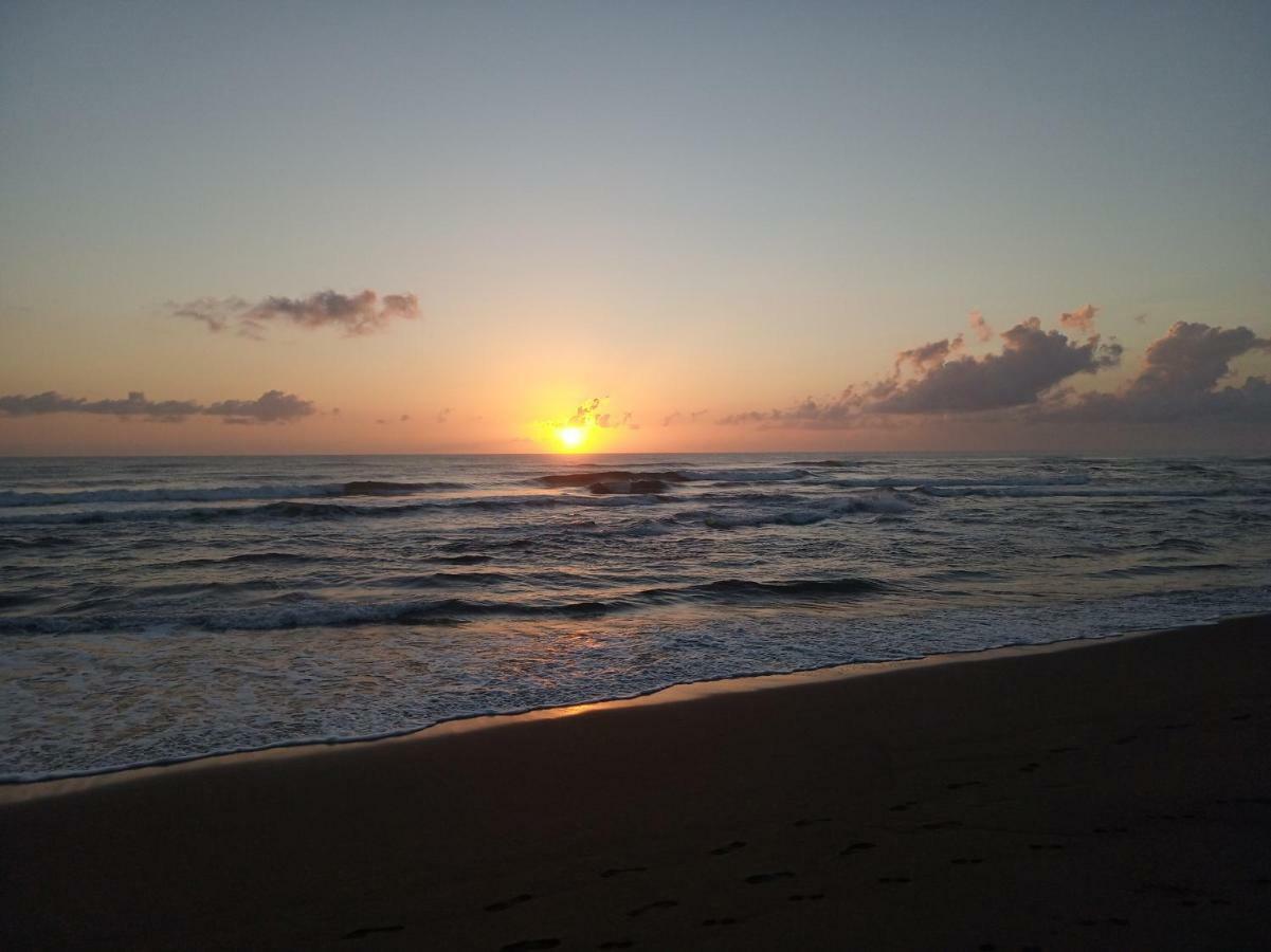 Tortuguero Adventures Beach House 外观 照片
