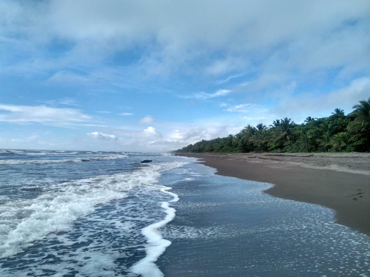 Tortuguero Adventures Beach House 外观 照片