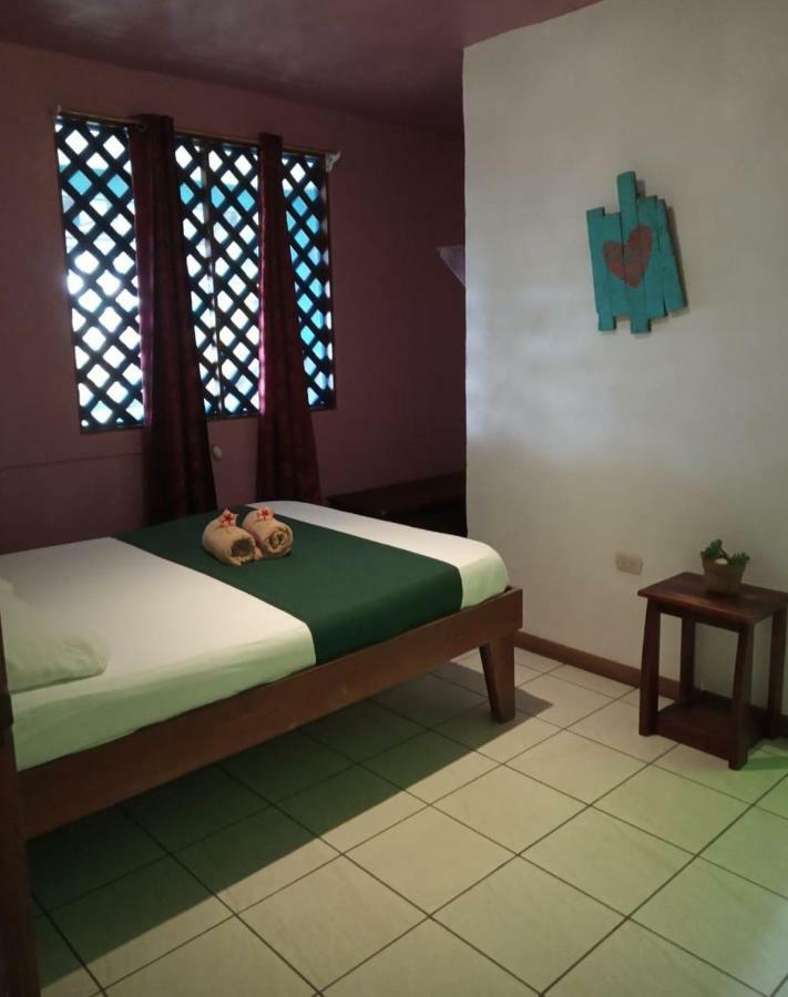 Tortuguero Adventures Beach House 外观 照片