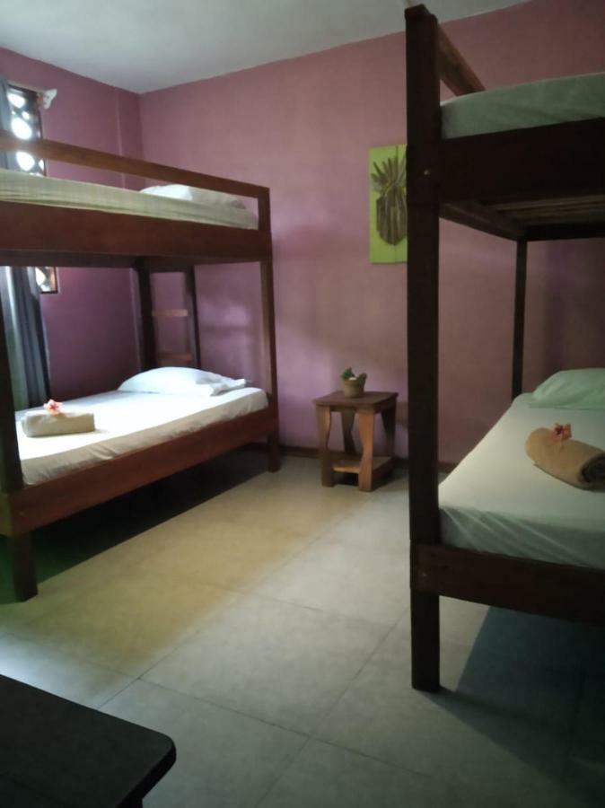 Tortuguero Adventures Beach House 外观 照片