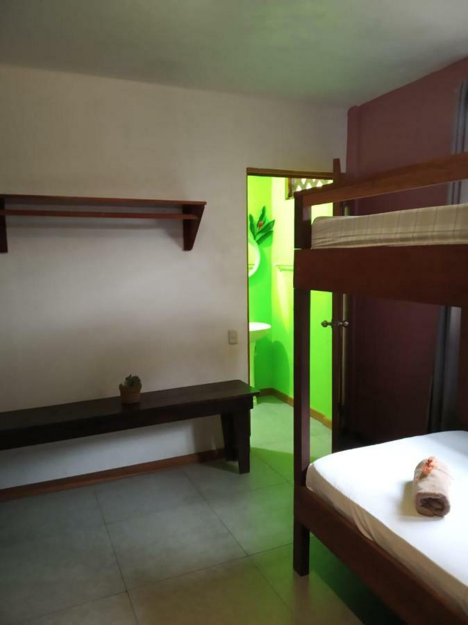 Tortuguero Adventures Beach House 外观 照片